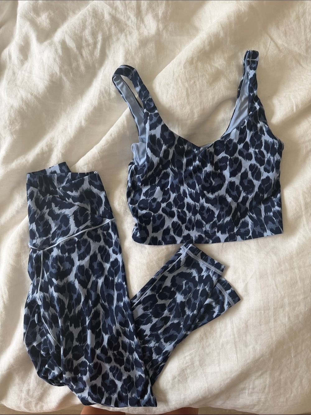 Aerie Offline Animal Print Sports Bra & Legging Set